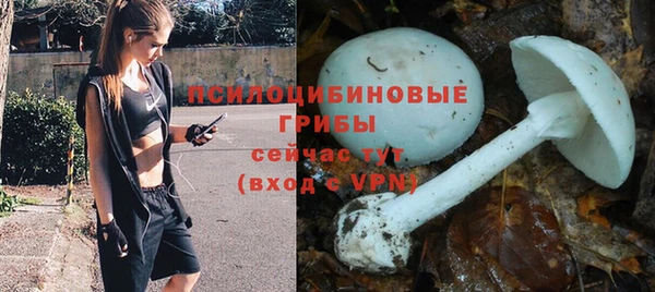 apvp Баксан